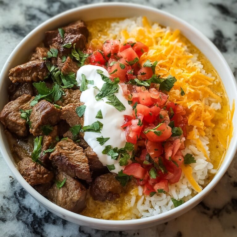 Steak Queso Rice Recipe