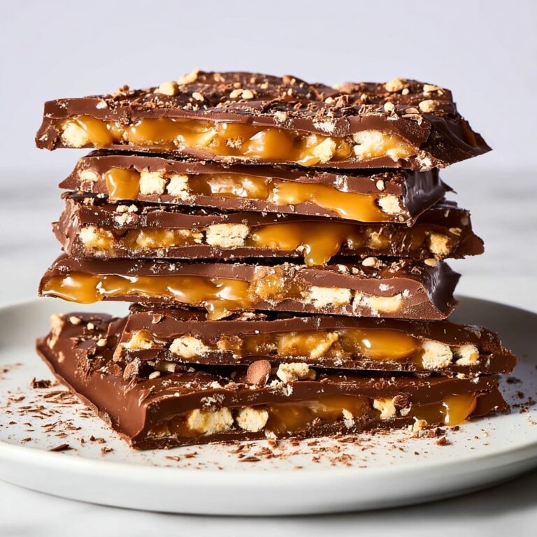 Chocolate Caramel Pretzel Bark Recipe