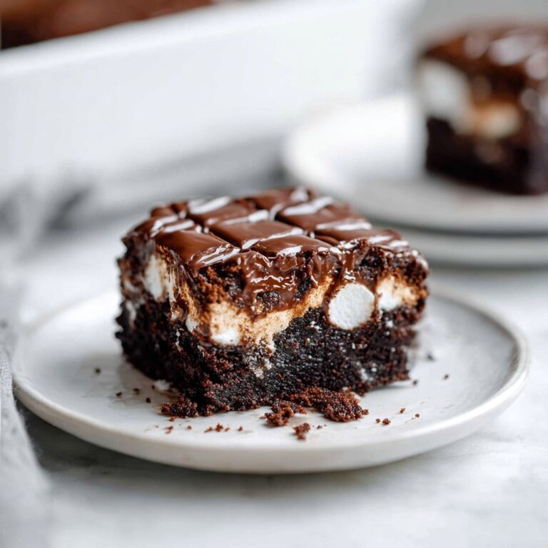 Mississippi Mud Cake Recipe